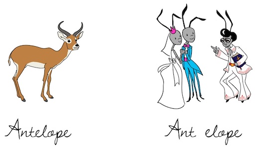 antelope-final-without-credits-small